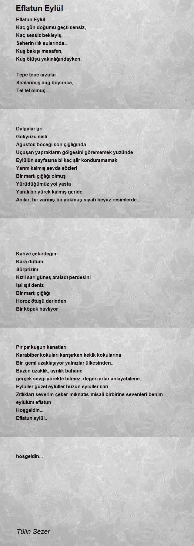 Tülin Sezer