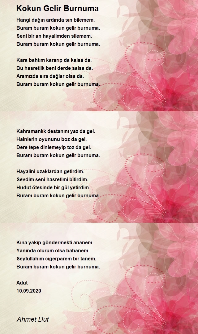 Ahmet Dut