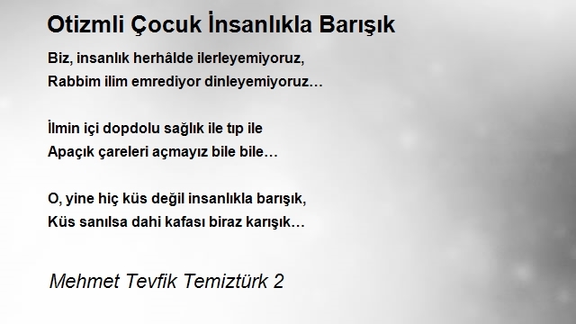 Mehmet Tevfik Temiztürk 2