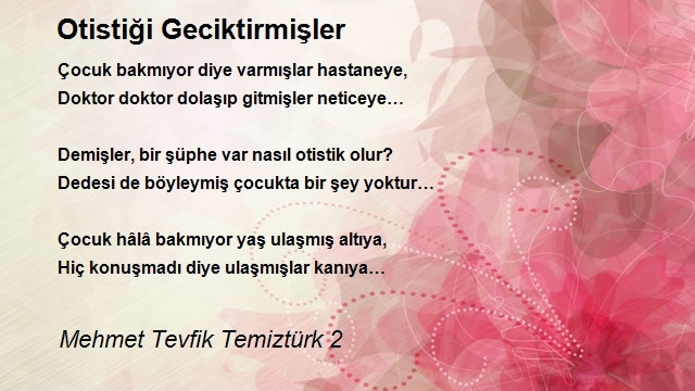 Mehmet Tevfik Temiztürk 2
