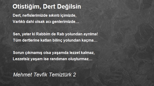 Mehmet Tevfik Temiztürk 2