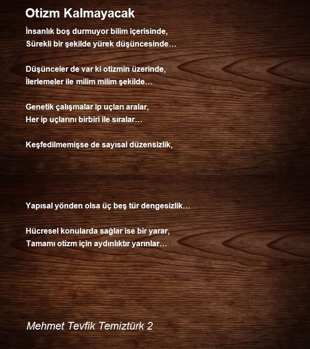 Mehmet Tevfik Temiztürk 2