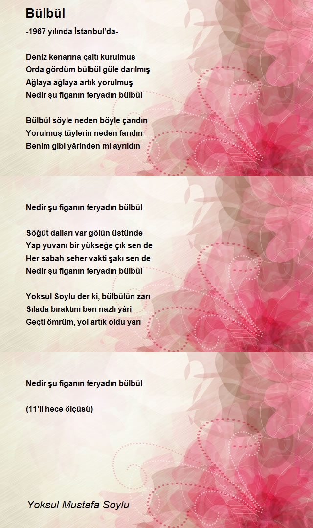 Yoksul Mustafa Soylu