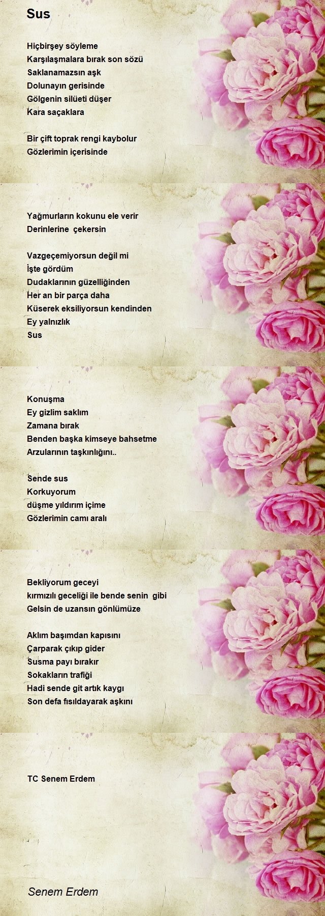 Senem Erdem