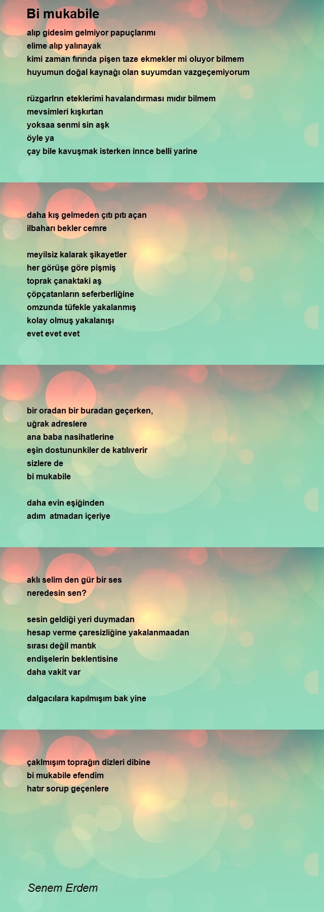 Senem Erdem