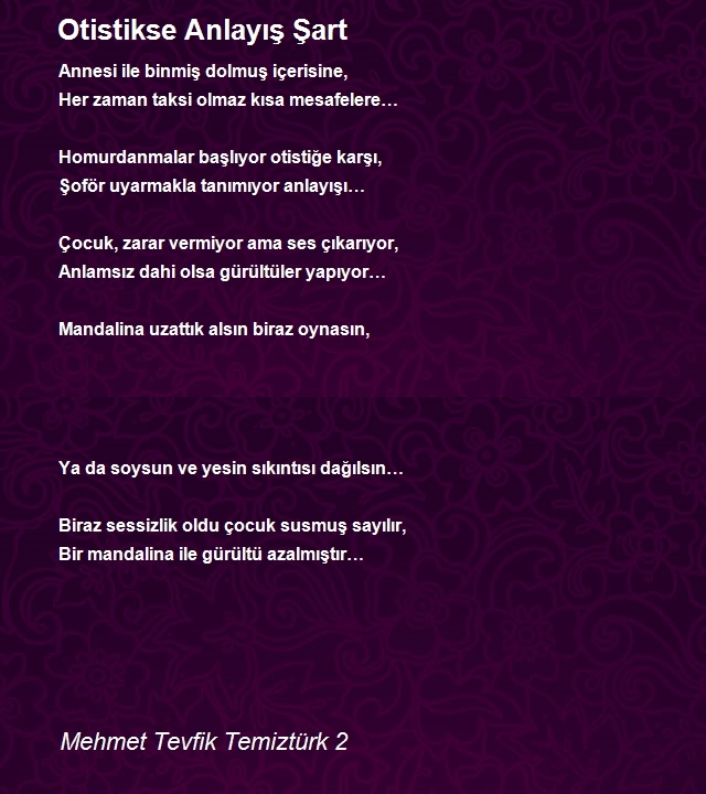 Mehmet Tevfik Temiztürk 2