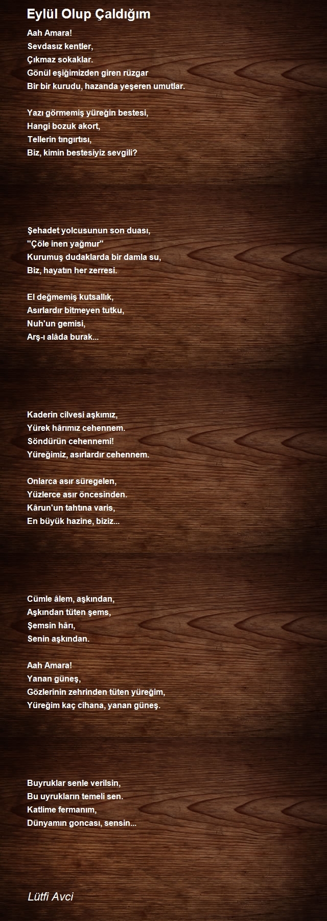 Lütfi Avci