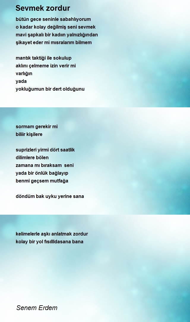 Senem Erdem