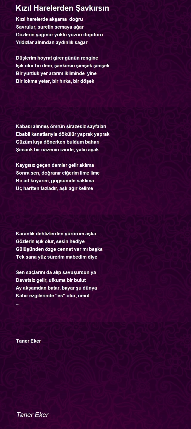 Taner Eker