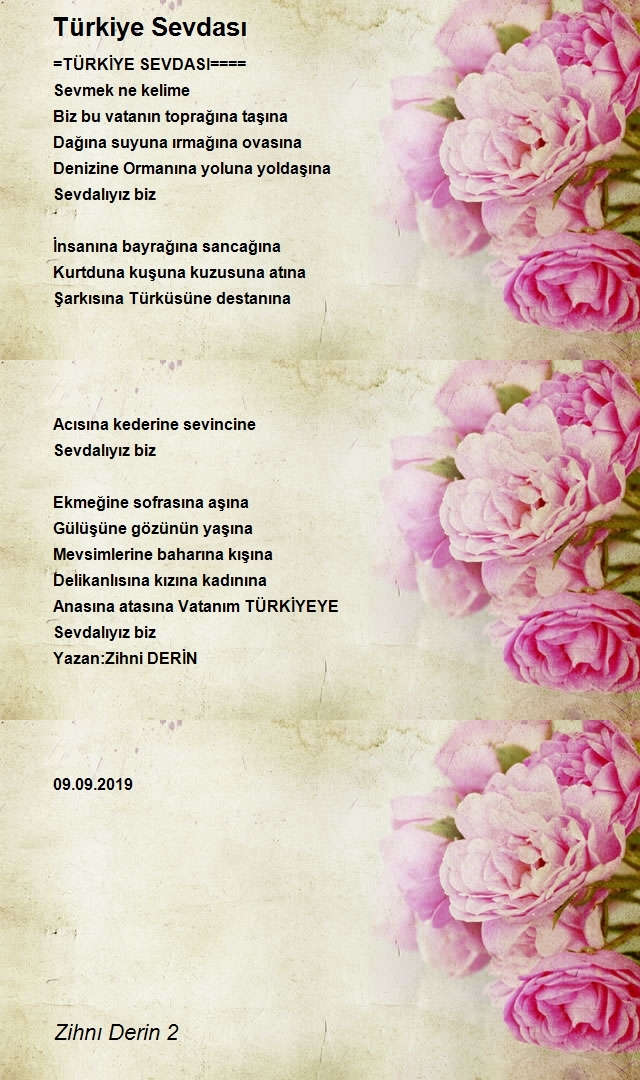Zihni Derin