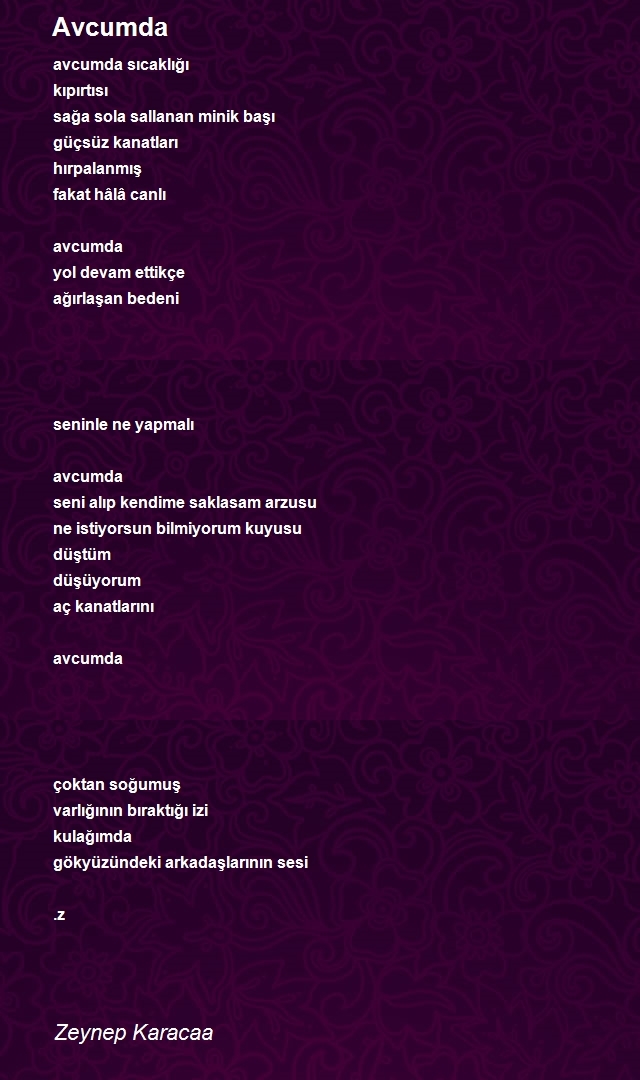 Zeynep Karacaa