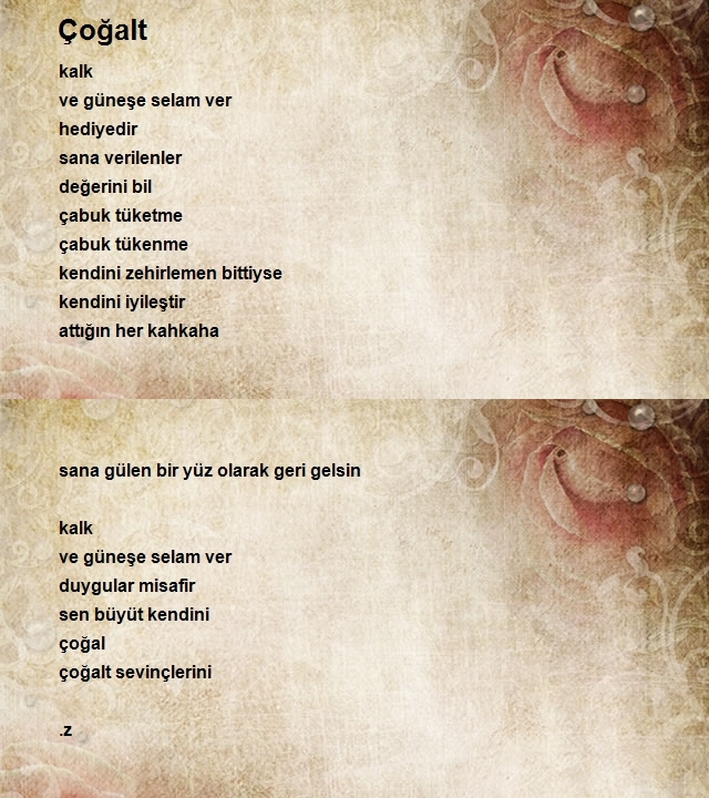 Zeynep Karacaa