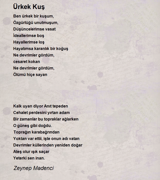 Zeynep Madenci