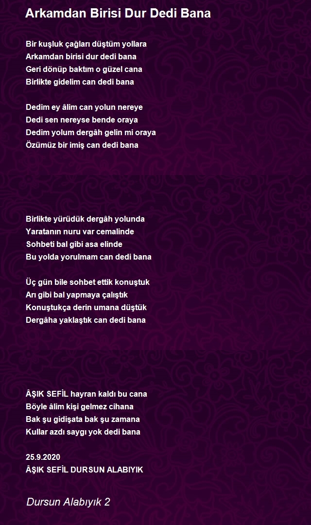 Dursun Alabıyık 2