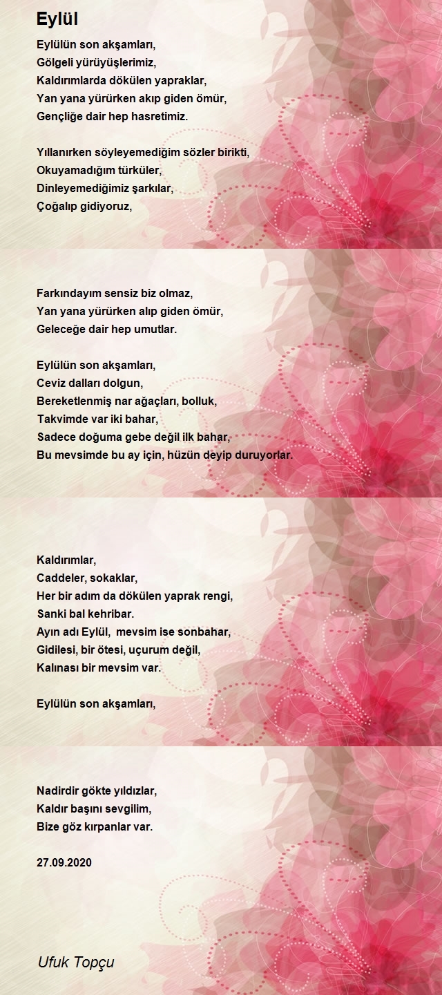 Ufuk Topçu