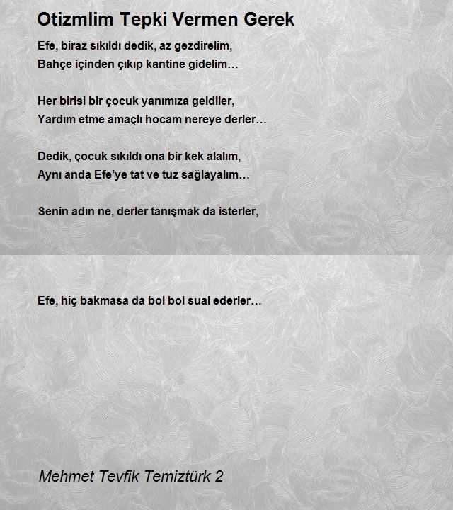 Mehmet Tevfik Temiztürk 2