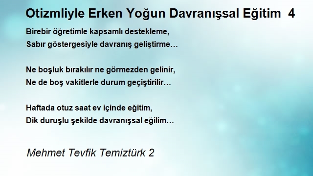 Mehmet Tevfik Temiztürk 2