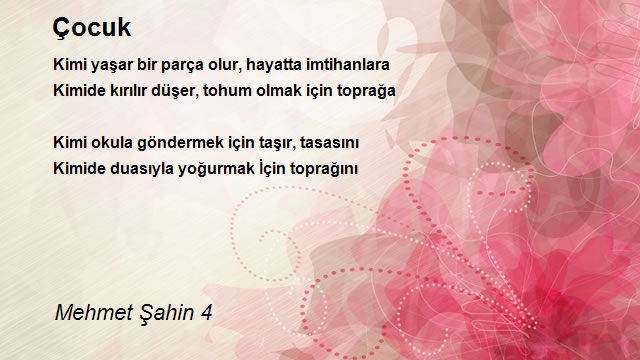 Abdullah Oğuzhan Şahin