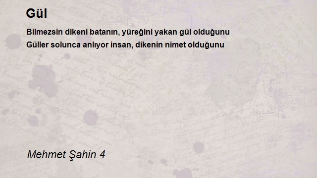 Mehmet Şahin 4