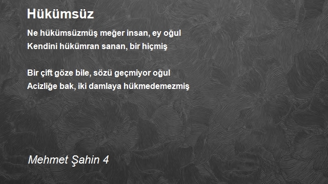 Abdullah Oğuzhan Şahin