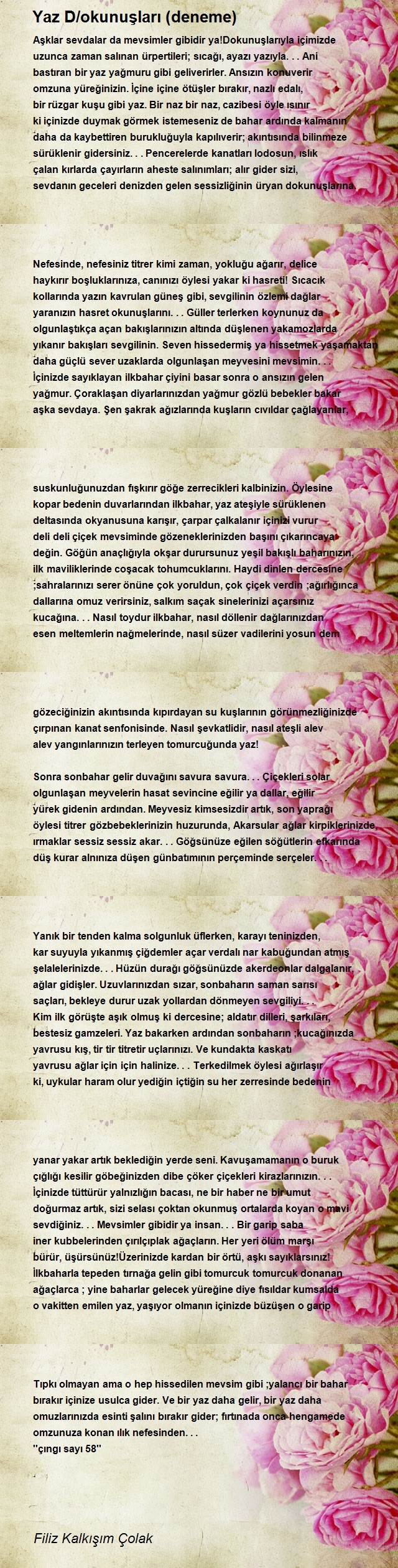 Filiz Kalkışım Çolak