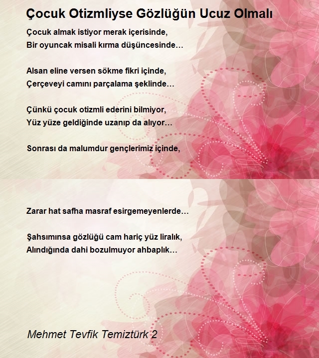 Mehmet Tevfik Temiztürk 2