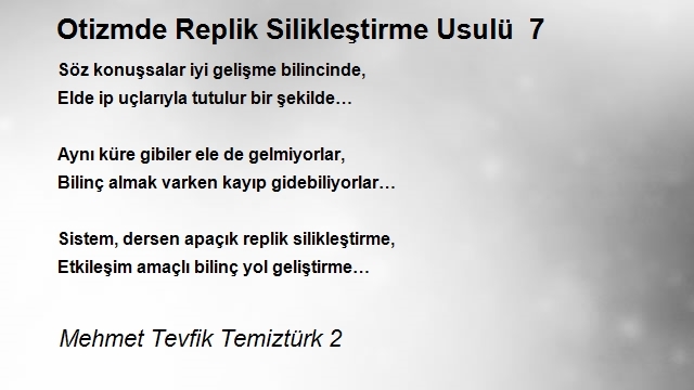 Mehmet Tevfik Temiztürk 2