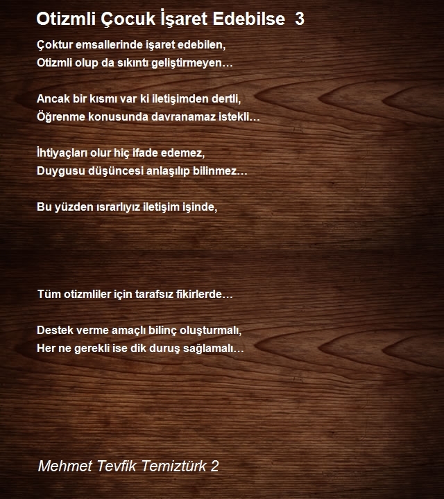 Mehmet Tevfik Temiztürk 2