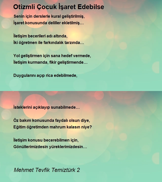 Mehmet Tevfik Temiztürk 2