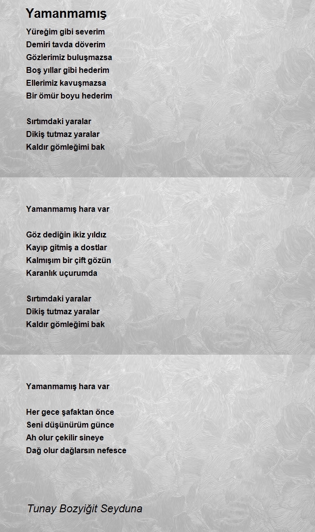 Tunay Bozyiğit Seyduna