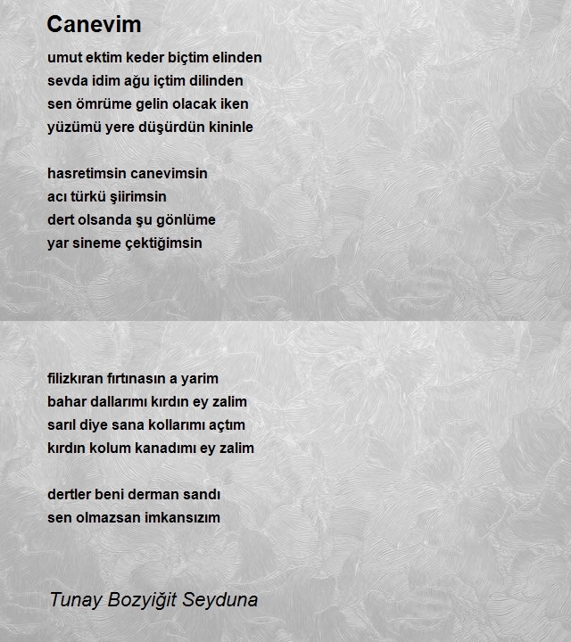 Tunay Bozyiğit Seyduna