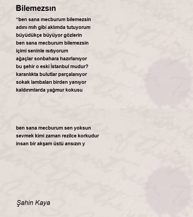 Şahin Kaya