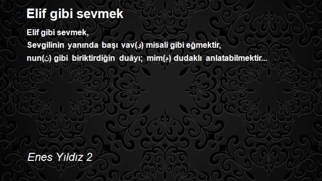 Enes Yıldız 2