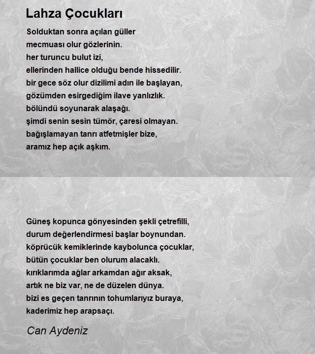 Can Aydeniz