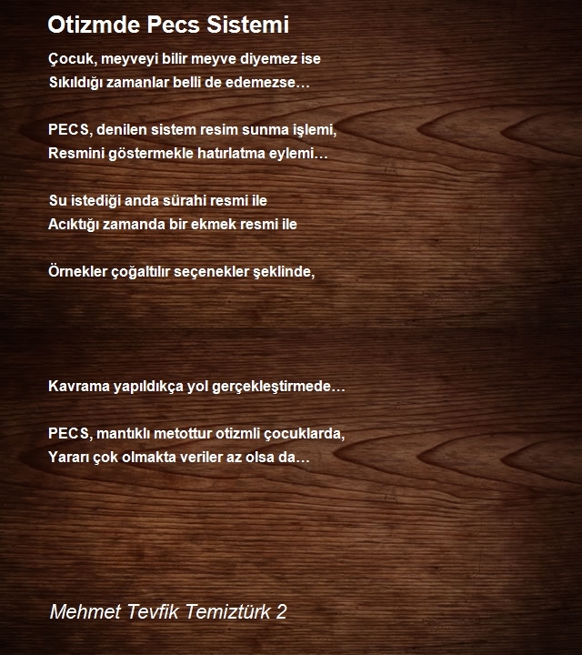 Mehmet Tevfik Temiztürk 2