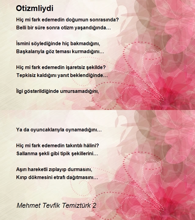 Mehmet Tevfik Temiztürk 2