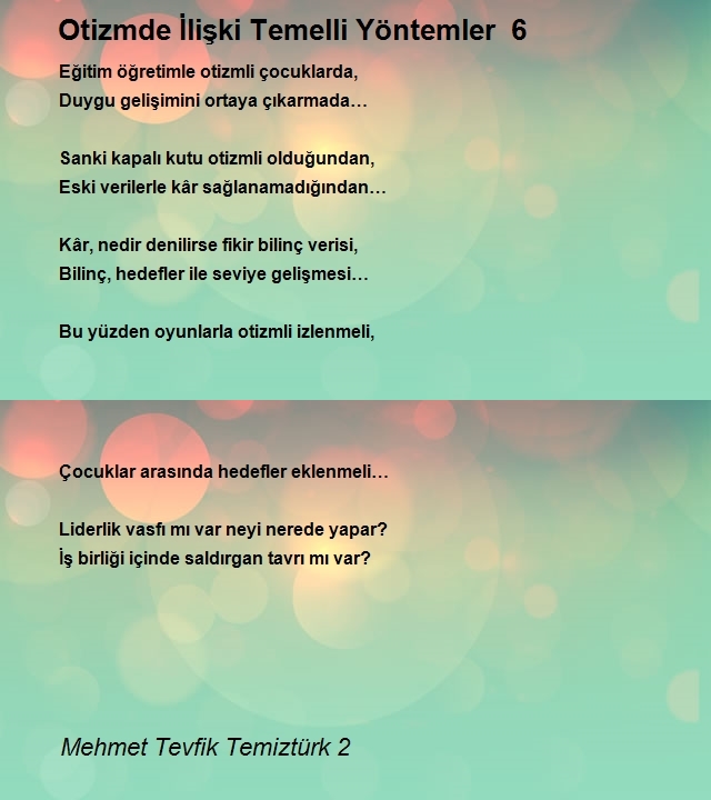 Mehmet Tevfik Temiztürk 2