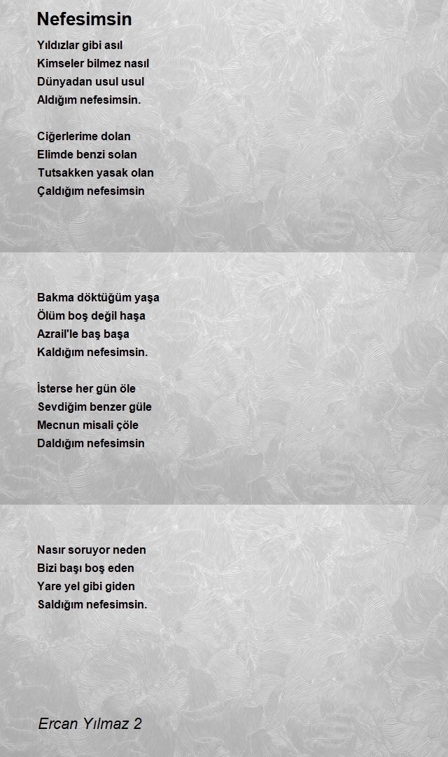 Ercan Yılmaz 2