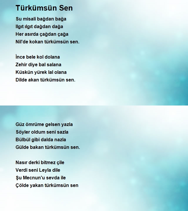 Ercan Yılmaz 2