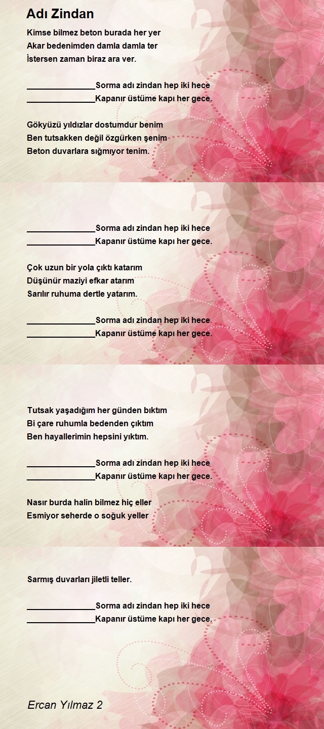Ercan Yılmaz 2