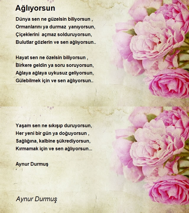 Aynur Durmuş