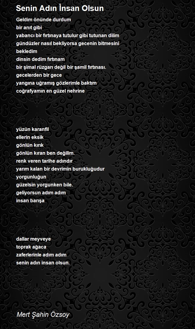 Mert Şahin Özsoy