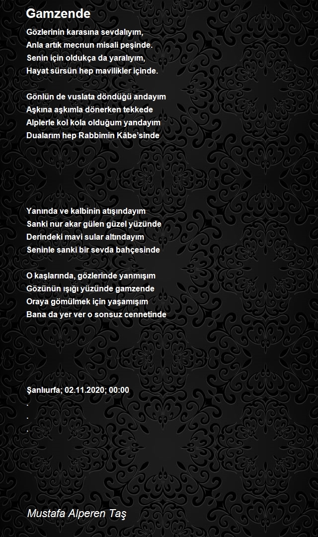 Mustafa Alperen Taş