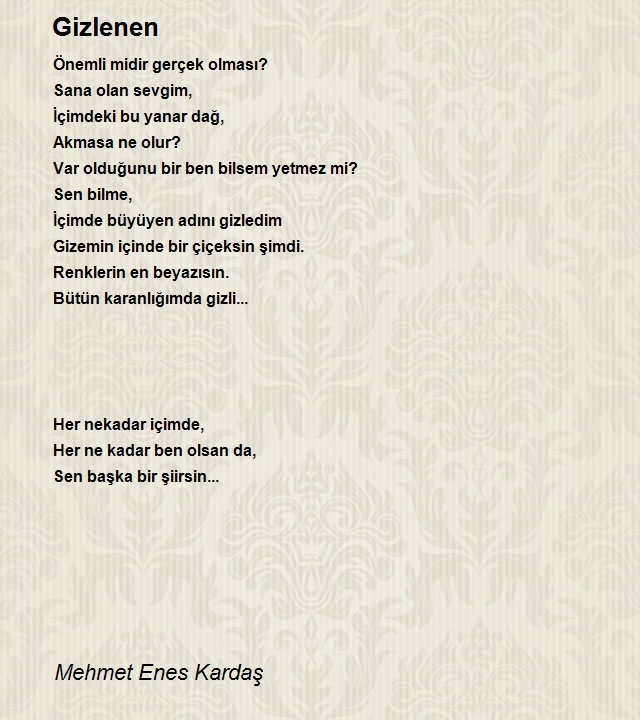 Mehmet Enes Kardaş