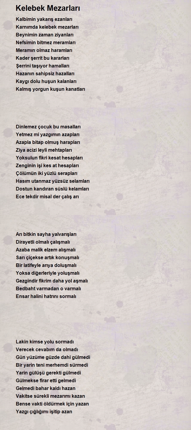 Mert Demir 3