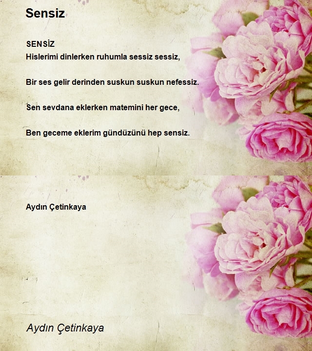 Aydın Çetinkaya