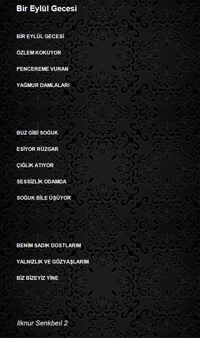 Ilknur Senkbeıl 2