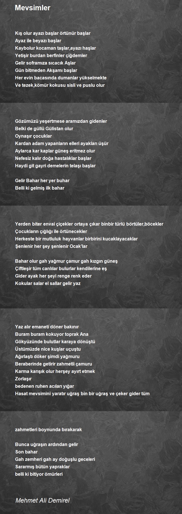 Mehmet Ali Demirel
