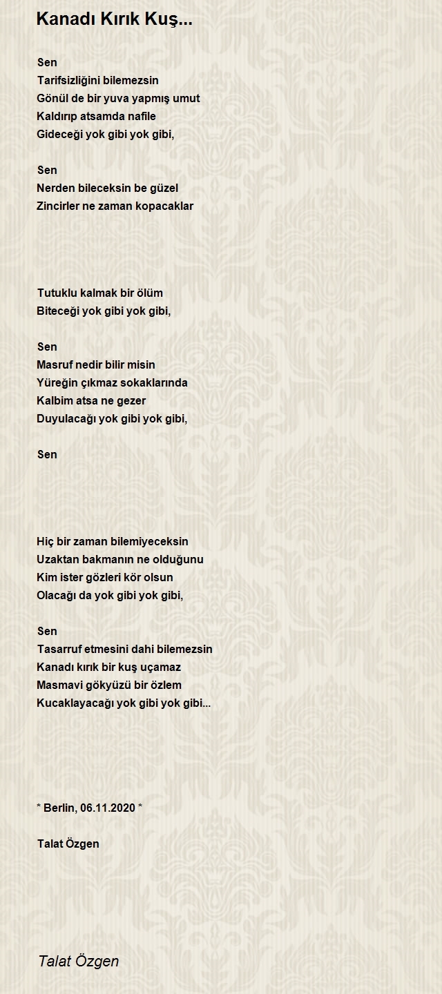 Talat Özgen