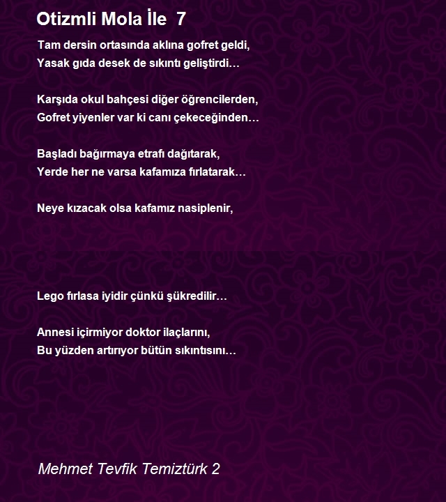 Mehmet Tevfik Temiztürk 2